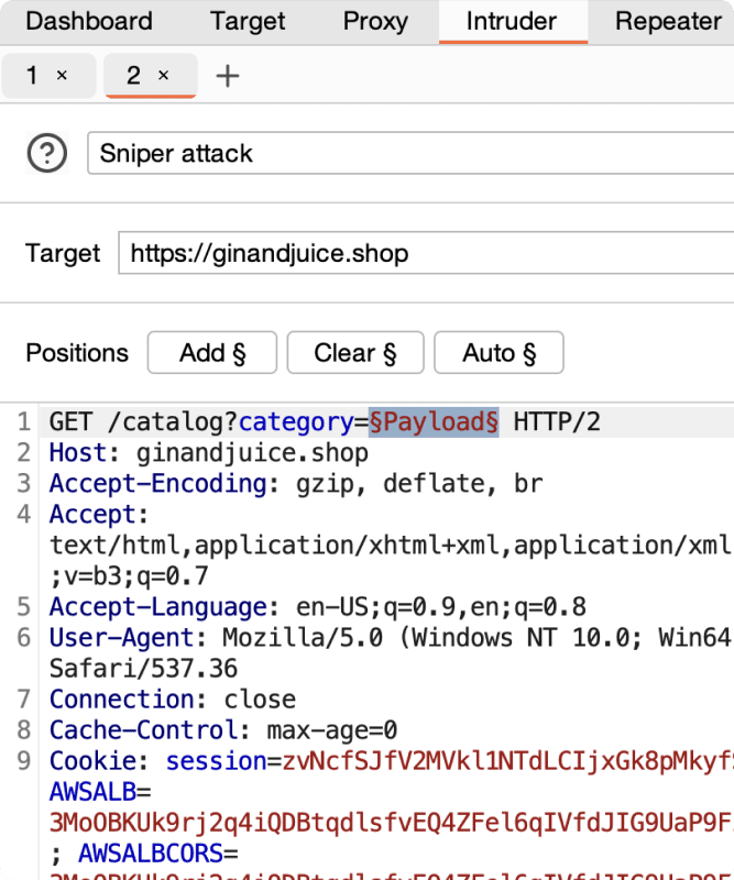 Portswigger Culture Hero Image